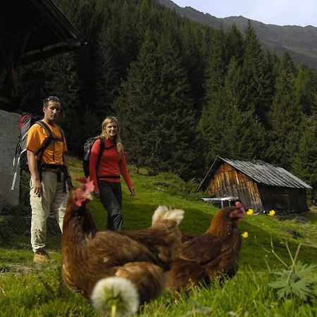 Apartament Aparthaus Camping Stubai Neustift im Stubaital Zewnętrze zdjęcie