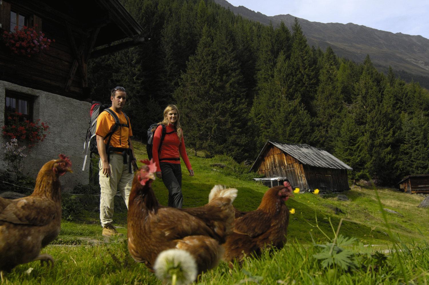 Apartament Aparthaus Camping Stubai Neustift im Stubaital Zewnętrze zdjęcie